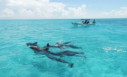DeepDiveMexico
