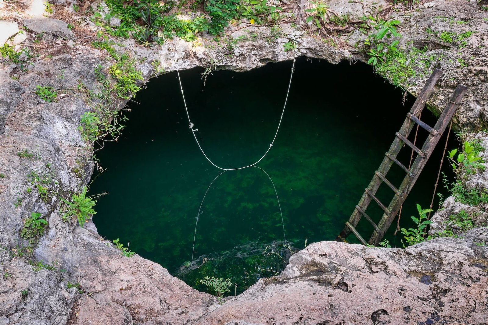 Cenote El Eden