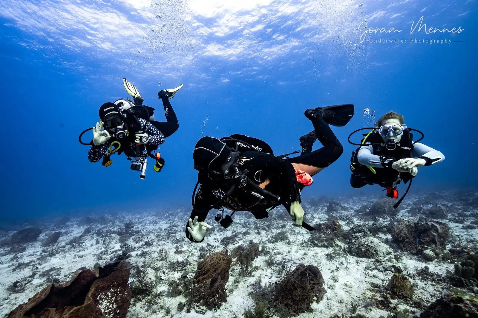PADI oder SDI PADI oder SDI, DeepDiveMexico