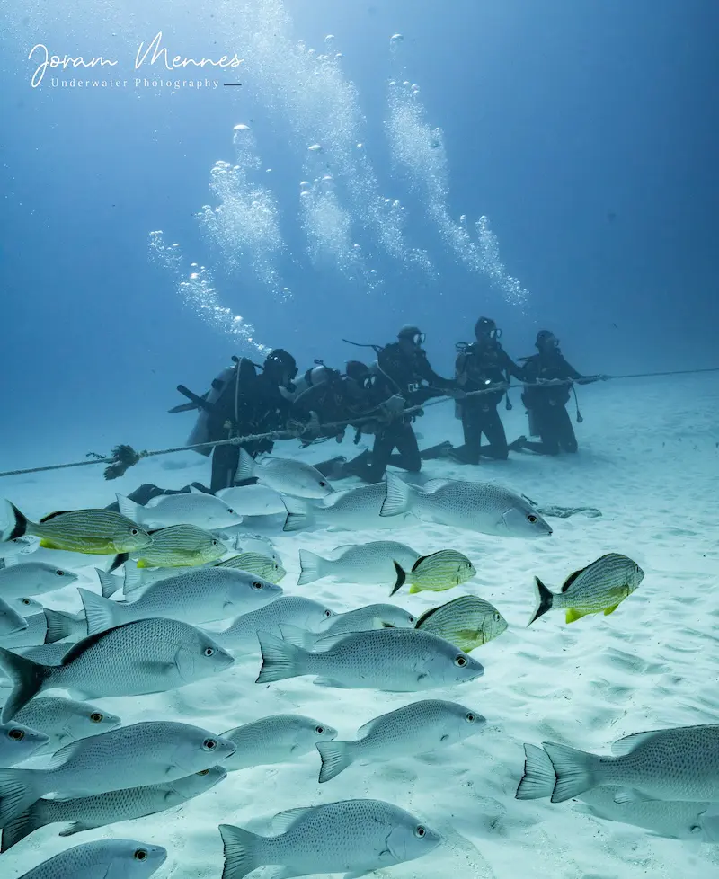 Plongeurs au fond sablonneux lors de la plongée avec les requins-bouledogues