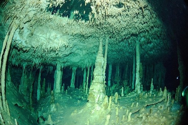 Cenote tauchen Cenote tauchen