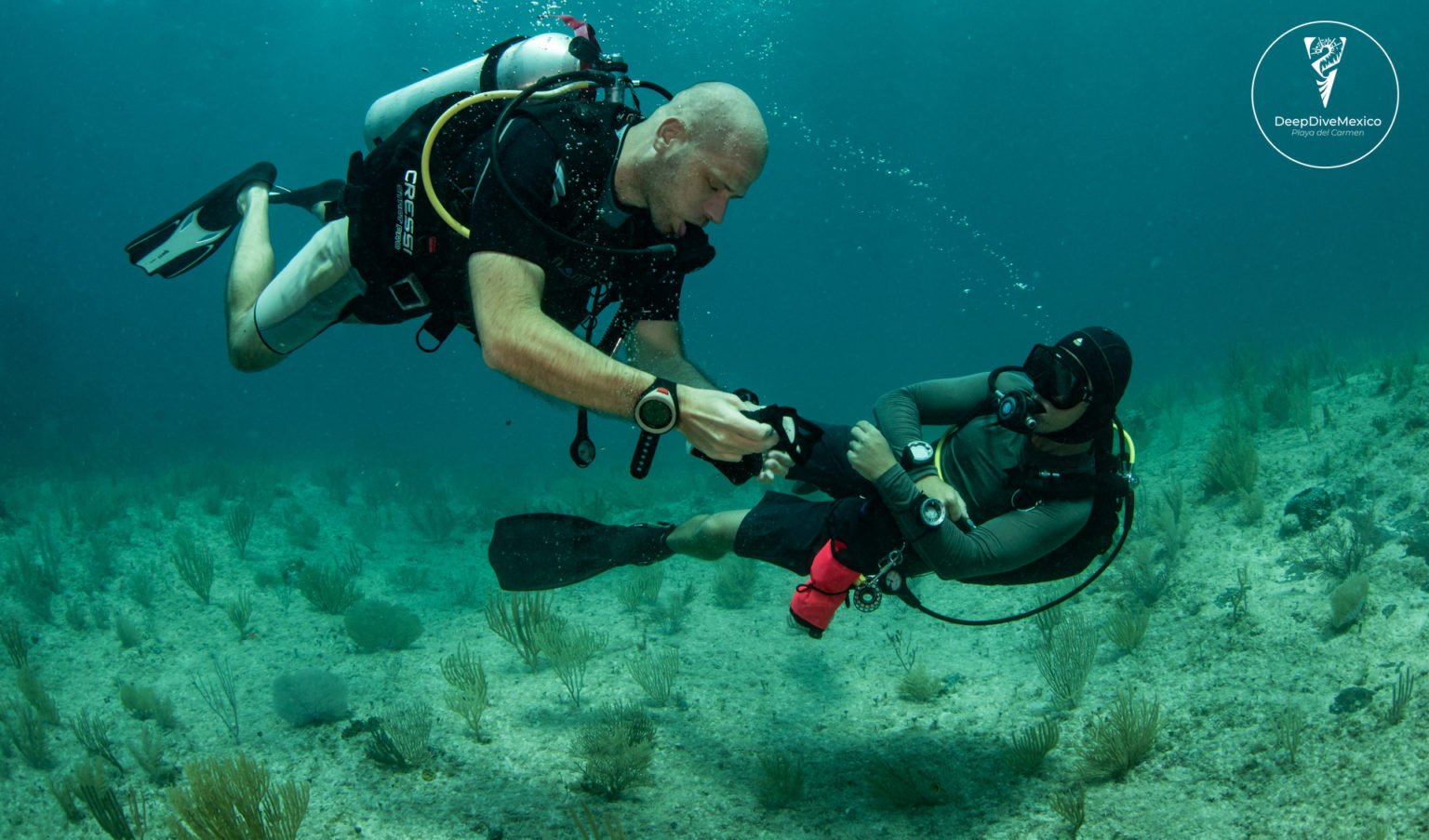 Dive Course in Playa del Carmen