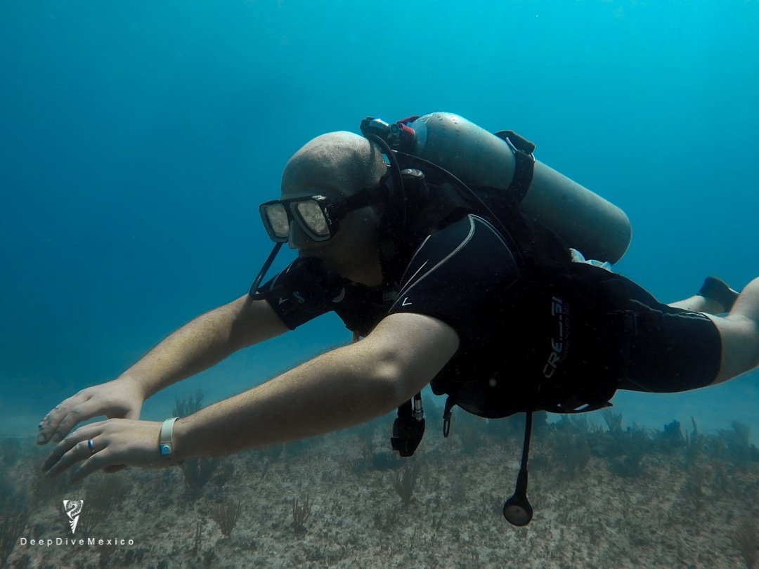 Divemaster Course, Dive Course in Playa del Carmen