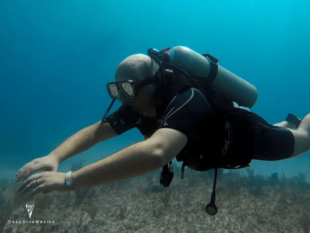 Divemaster Course, Dive Course in Playa del Carmen