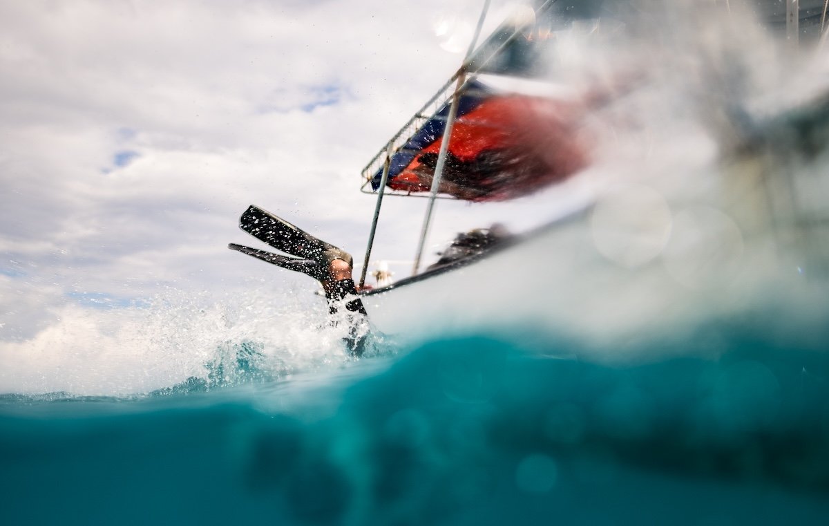 Refresher Course, Dive Course in Playa del Carmen