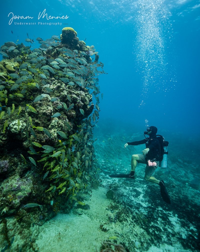 Diving in Playa Del Carmen