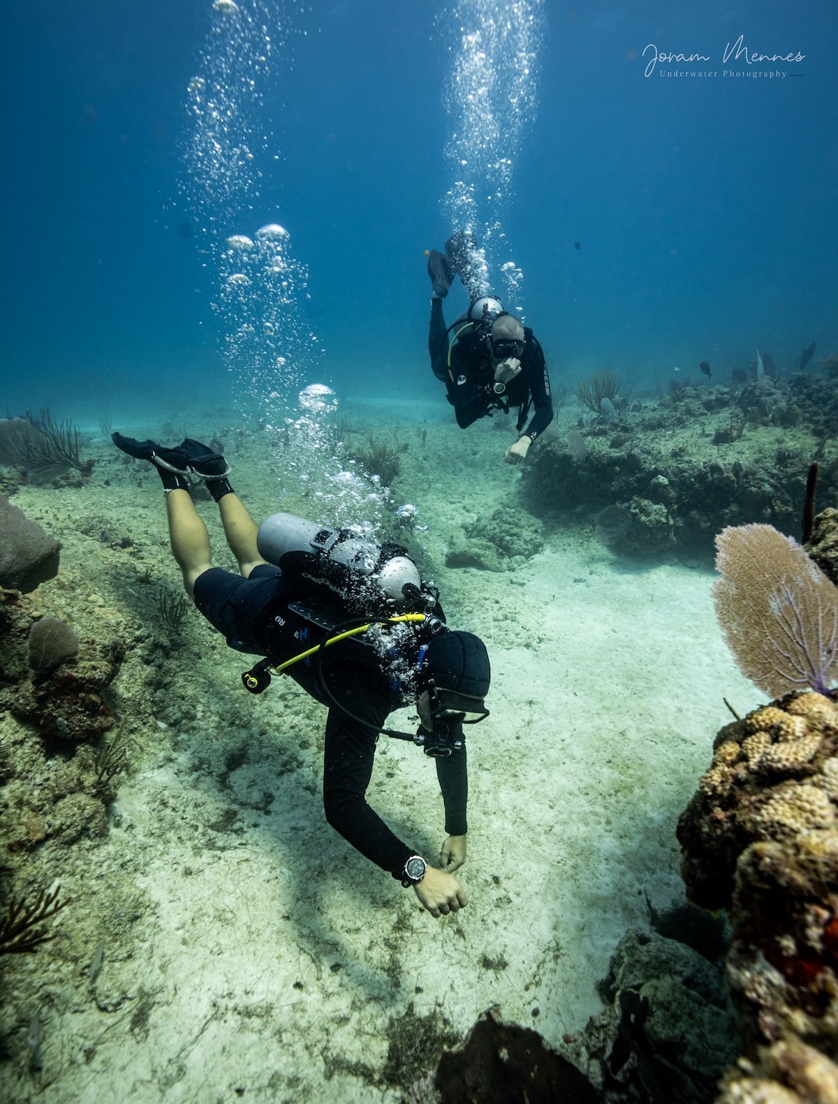 Divemaster Course