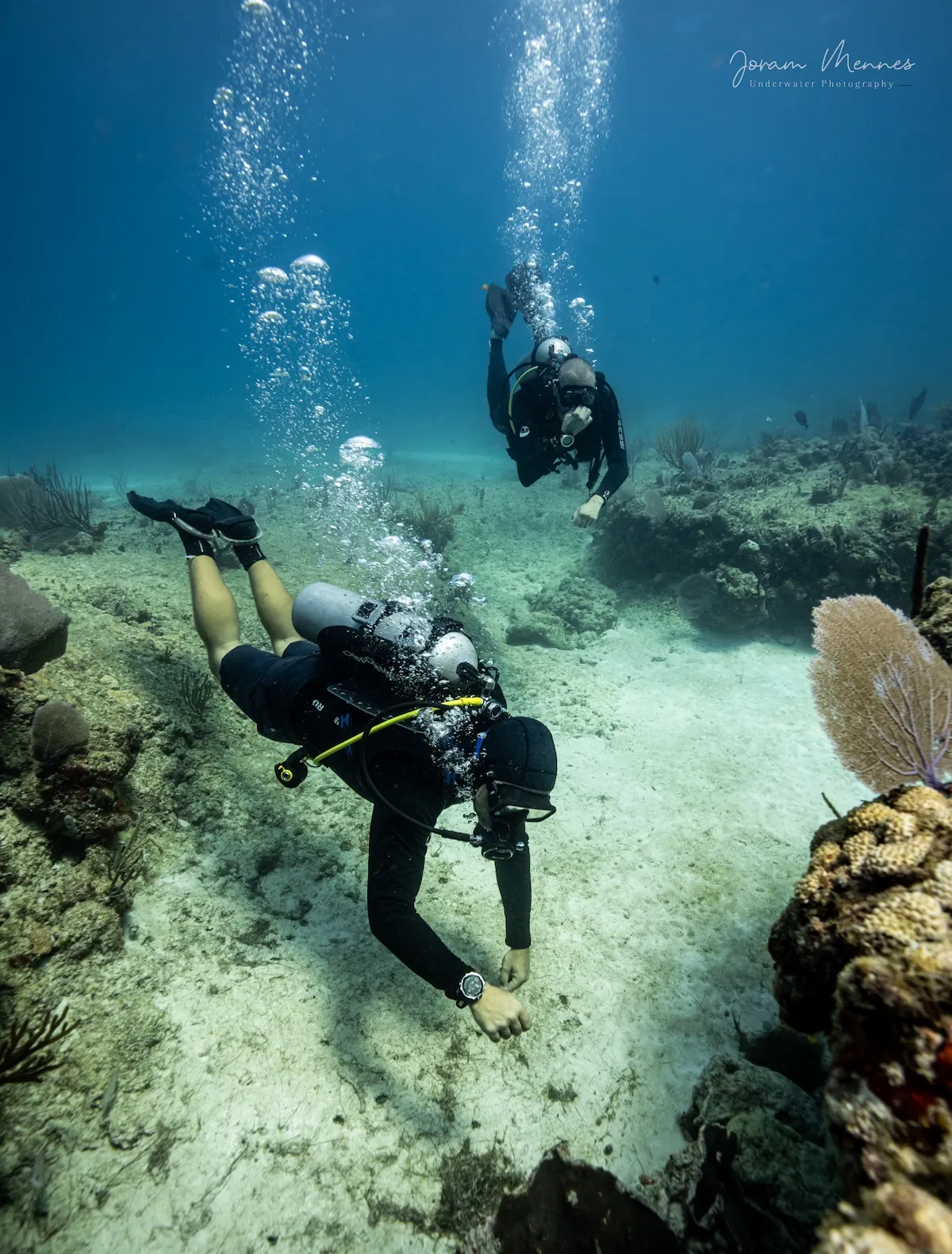 Curso de Divemaster