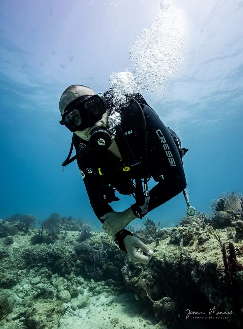 Curso Solo Diver