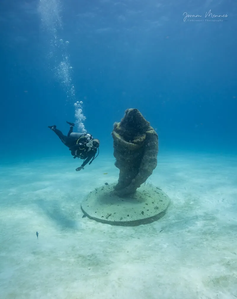 Cueva del Pargo Reef