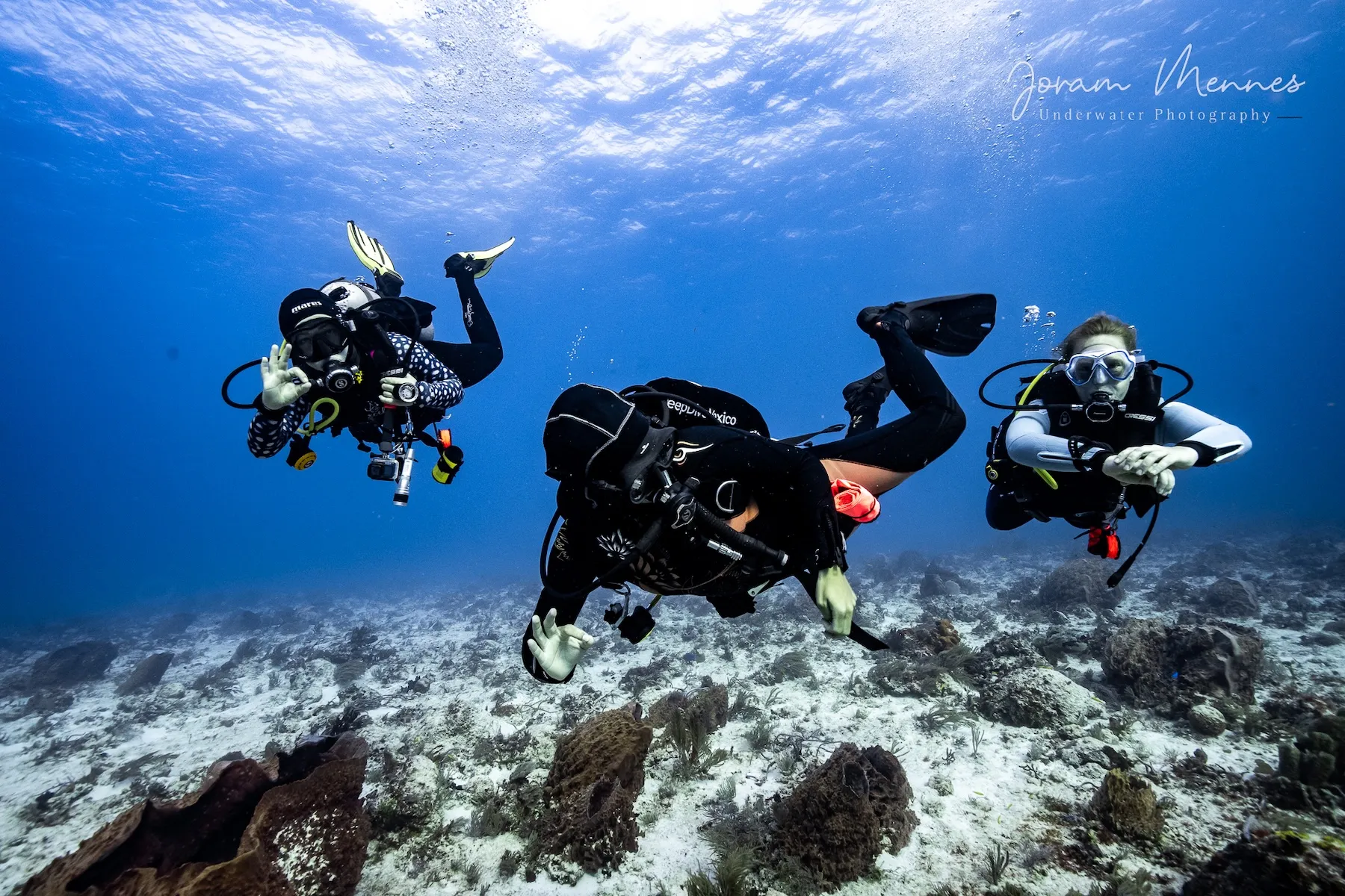 Crossover Course, Dive Course in Playa del Carmen
