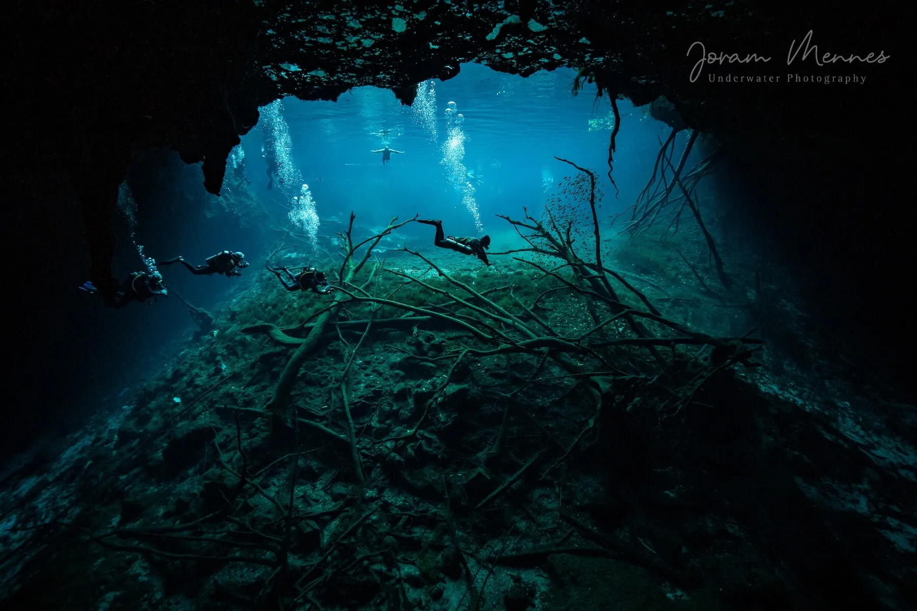 Cenoten Carwash, Die Casa Cenote, Cenote El Eden