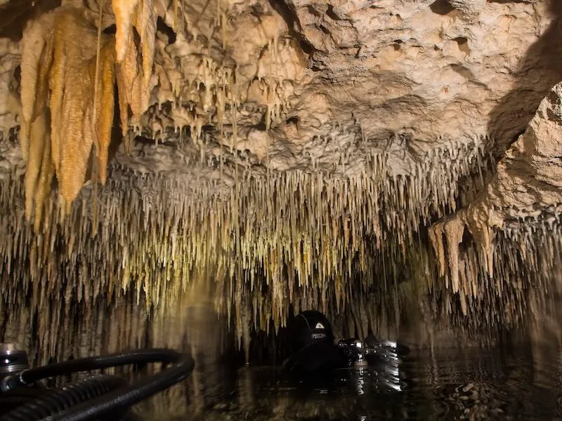 Cenote Dreamsgate
