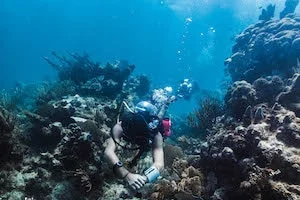 Diving in Playa Del Carmen