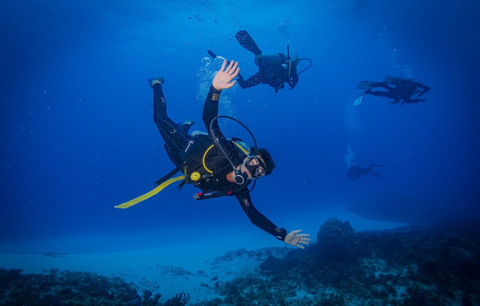 Pared Verde, Mama Vina Wrack in Playa del Carmen