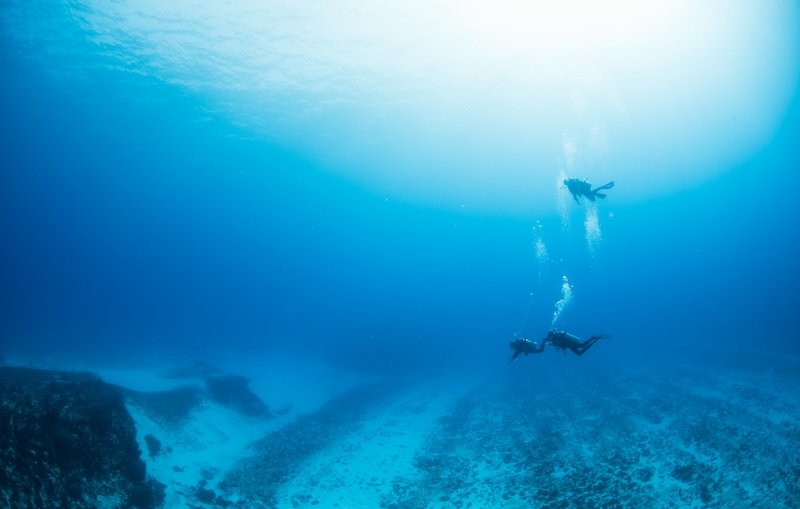 Pared Verde Reef