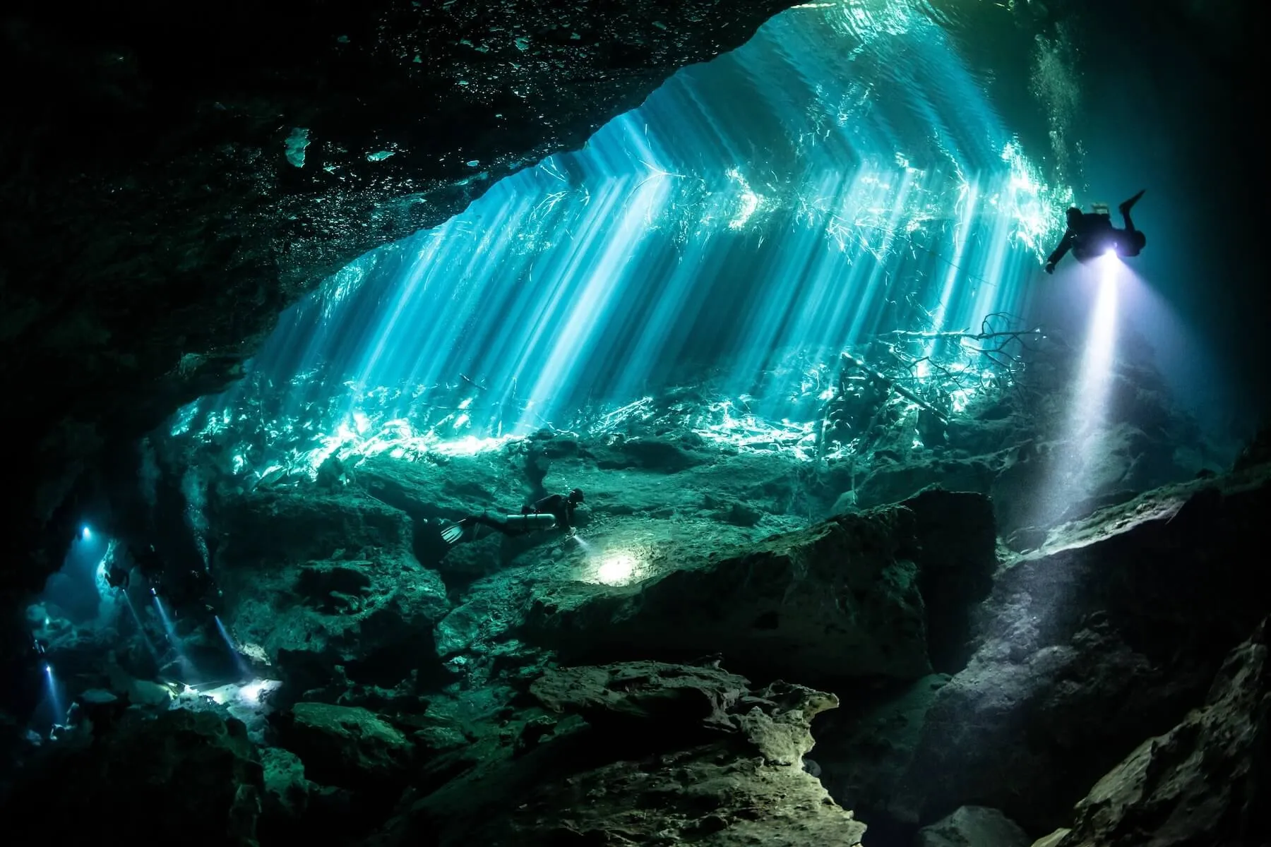 Cenote El Eden - Ponderosa