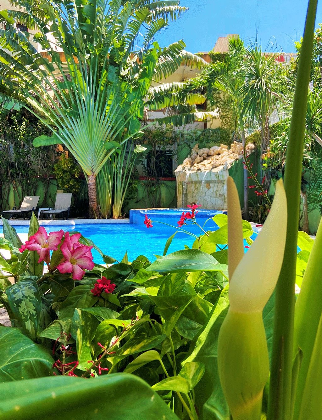 Hotelempfehlung Playa del Carmen