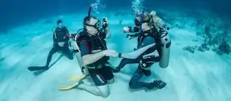 DeepDiveMexico Price List